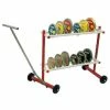 Polanik Discus Trolley