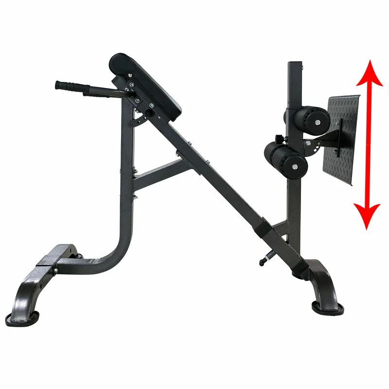 Dual Hyperextension 8 Dual Hyperextension - Image 8