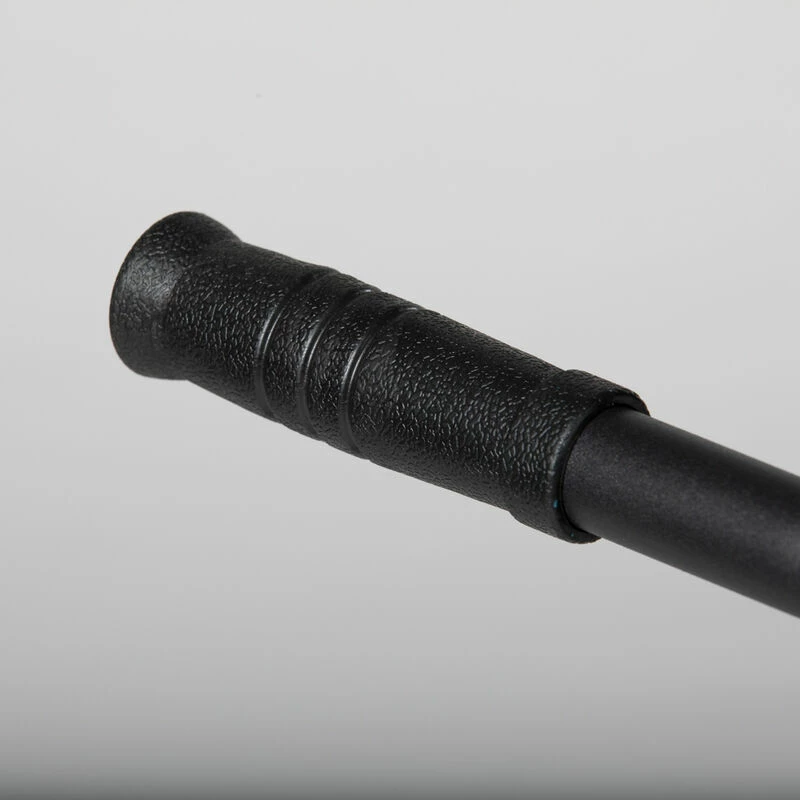 Back Hyperextension V2 7 Back Hyperextension V2 - Image 7